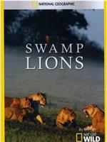 幼狮保卫战 Swamp Lions在线观看
