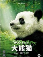 大熊猫在线观看和下载