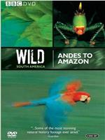Andes to Amazon在线观看