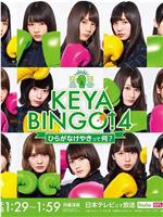 KEYABINGO!4在线观看