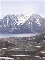 冰与火之歌-北极博物学科考全记录在线观看和下载