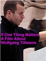 如果有一件事是重要的：关于沃尔夫冈·提尔曼斯在线观看和下载