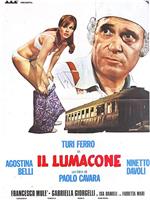 Il lumacone在线观看