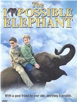 The Impossible Elephant在线观看和下载