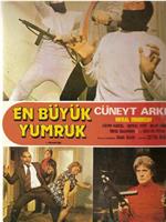 En büyük yumruk在线观看