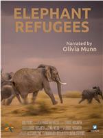 Elephant Refugees在线观看和下载