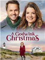 A Godwink Christmas在线观看