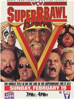 WCW SuperBrawl V