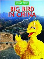 大鸟在中国在线观看