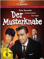 Der Musterknabe在线观看