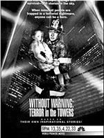 Without Warning: Terror in the Towers在线观看和下载