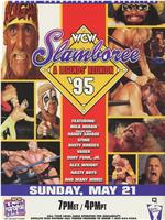 WCW Slamboree 1995在线观看和下载