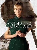 Animales sin collar在线观看