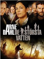 Arne Dahl: De största vatten在线观看