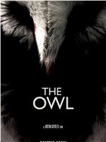 The Owl