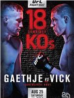 UFC Fight Night 135：盖基 vs 维克在线观看