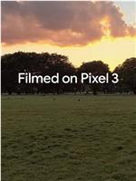 用谷歌Pixel3拍摄