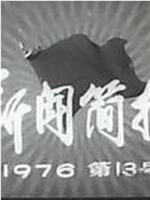 新闻简报1976年第13号在线观看和下载