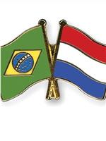 Brazil vs. Netherlands在线观看