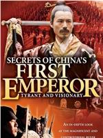 中国风暴-第一个皇帝的秘密在线观看