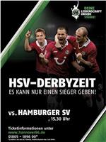 12/13德甲汉堡VS汉诺威96在线观看