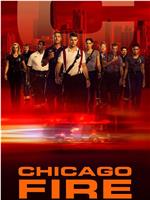 芝加哥烈焰 第八季在线观看和下载