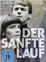 Der sanfte Lauf在线观看