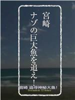 纪实72小时：宫崎 追捕神秘的巨大鱼