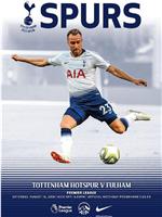 Tottenham Hotspur Football Club vs Fulham F.C.在线观看