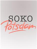 SOKO Potsdam在线观看