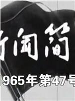 新闻简报1965年第47号