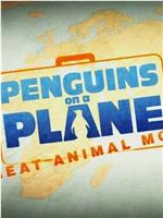 飞机上的企鹅：伟大的动物运动