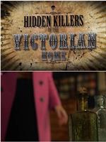 Hidden Killers of the Victorian Home