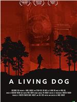 A Living Dog在线观看