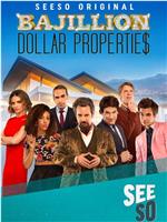 Bajillion Dollar Propertie$在线观看和下载