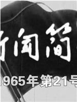 新闻简报1965年第21号在线观看和下载