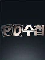 PD手册