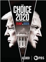 2020年的选择：特朗普VS拜登在线观看