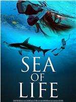 Sea of Life在线观看和下载