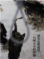 一只叫卡卡的黑猫消失在黑夜里在线观看和下载