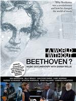 A World Without Beethoven?