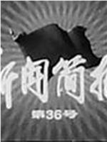 新闻简报1975年第36号在线观看和下载