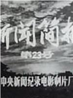 新闻简报1974年第23号在线观看和下载