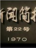 新闻简报1970年第22号：上海造船厂创奇迹在线观看和下载