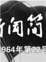 新闻简报1964年第22号在线观看和下载