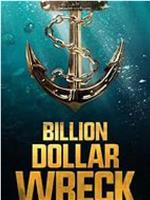 Billion Dollar Wreck Season 1在线观看和下载