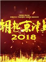 潮起京津冀2018在线观看