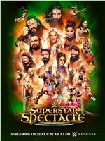 WWE Superstar Spectacle