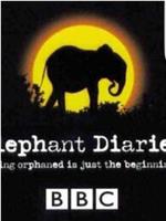 大象日记 第二季在线观看和下载