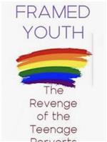 Framed Youth: The Revenge of the Teenage Perverts在线观看